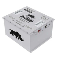 Rhino 36V 105Ah LiFePO4 Lithium Golf Cart Battery Conversion Kit – 4.03kWh All-In-One Bundle